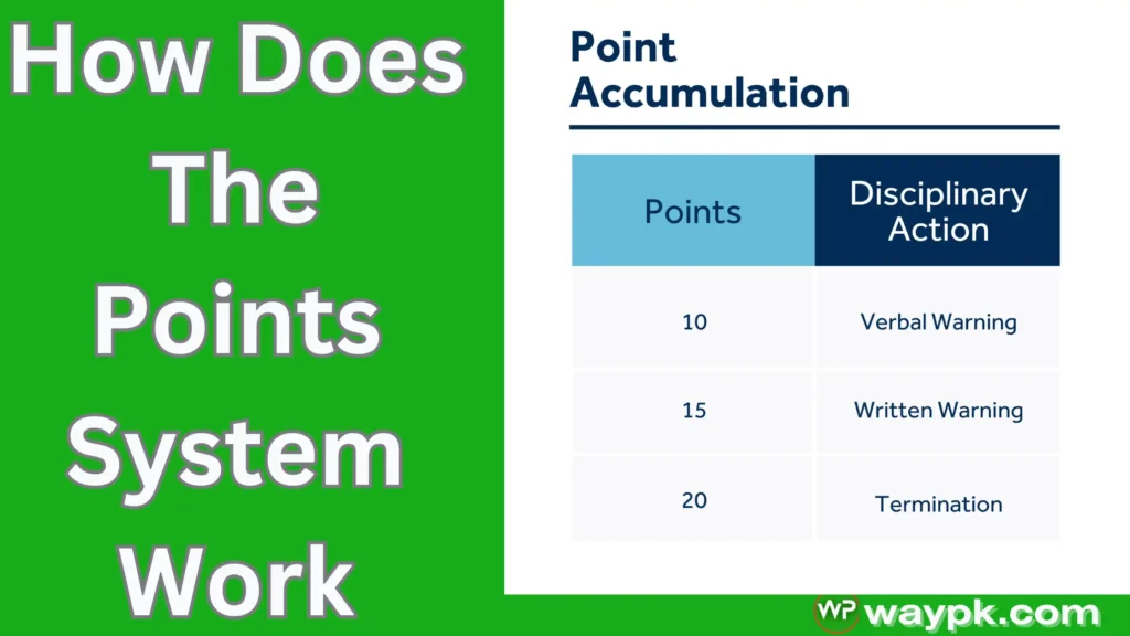 How Does The Points System Work